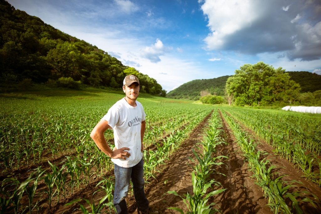 Réduire le gaspillage alimentaire grâce aux agriculteurs